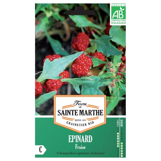 Épinard-fraise le sachet de 180 graines environ (0.15g)