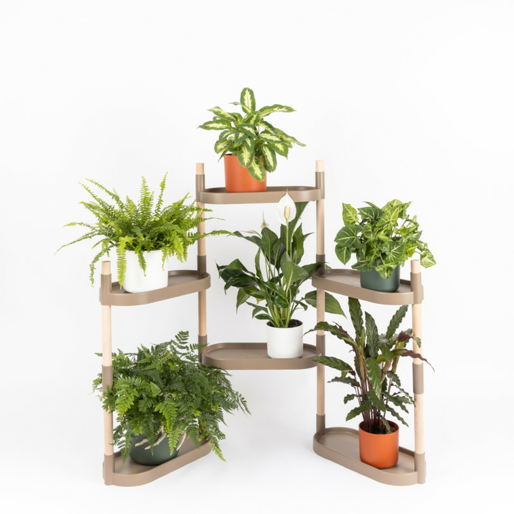 Étagère pour plantes, couleur écorce de pin, avec 6 plateaux.