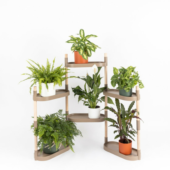 Étagère pour plantes, couleur écorce de pin, avec 6 plateaux.