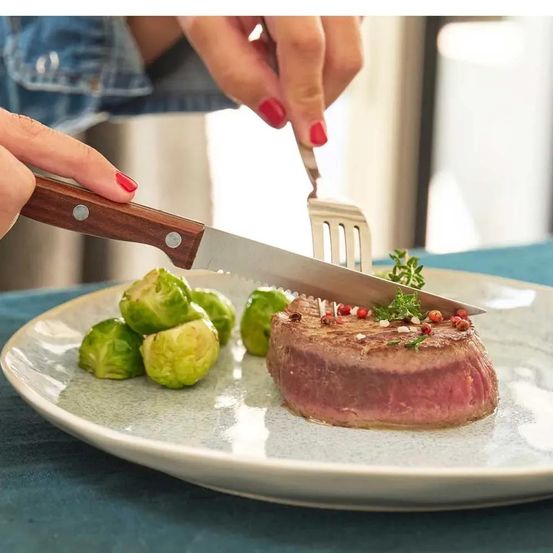 6 pièces steak inox 3cr14 22cm lame dentelée effet bois