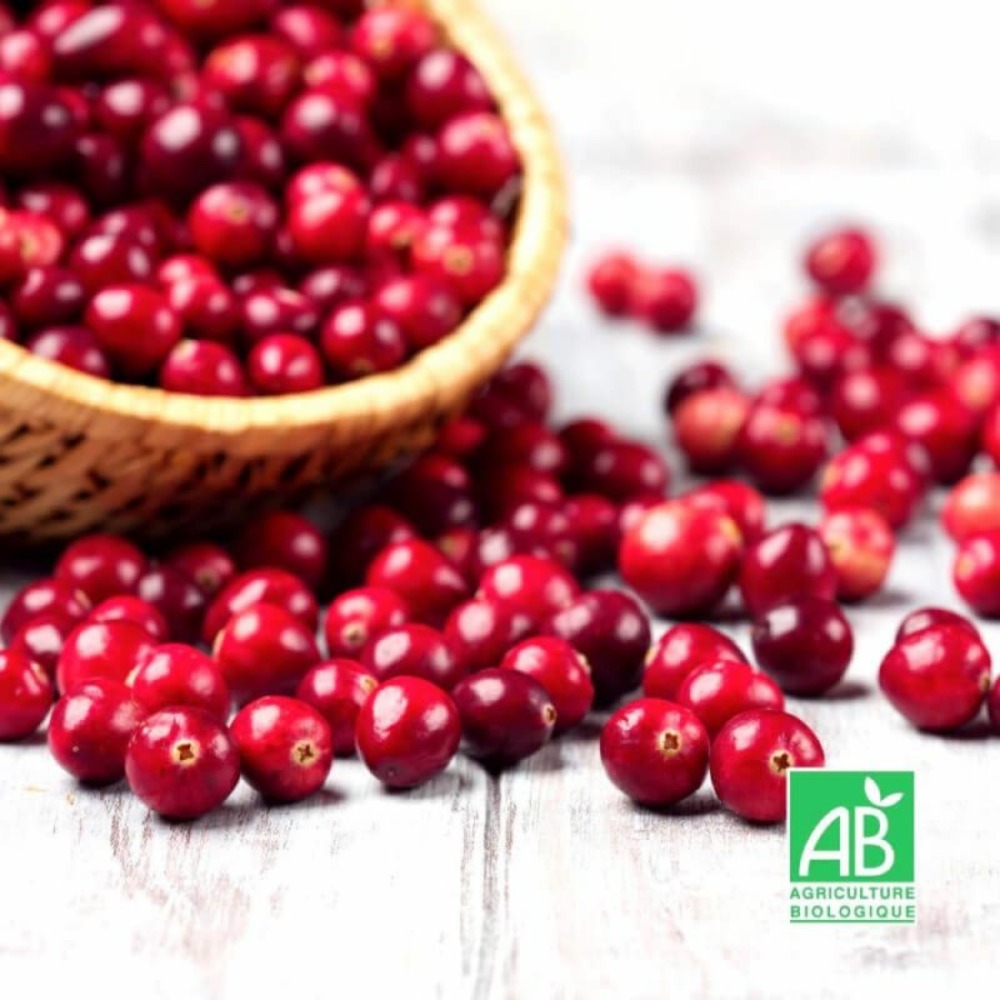 Canneberge 'crowley' bio (vaccinium macrocarpon 'crowley')