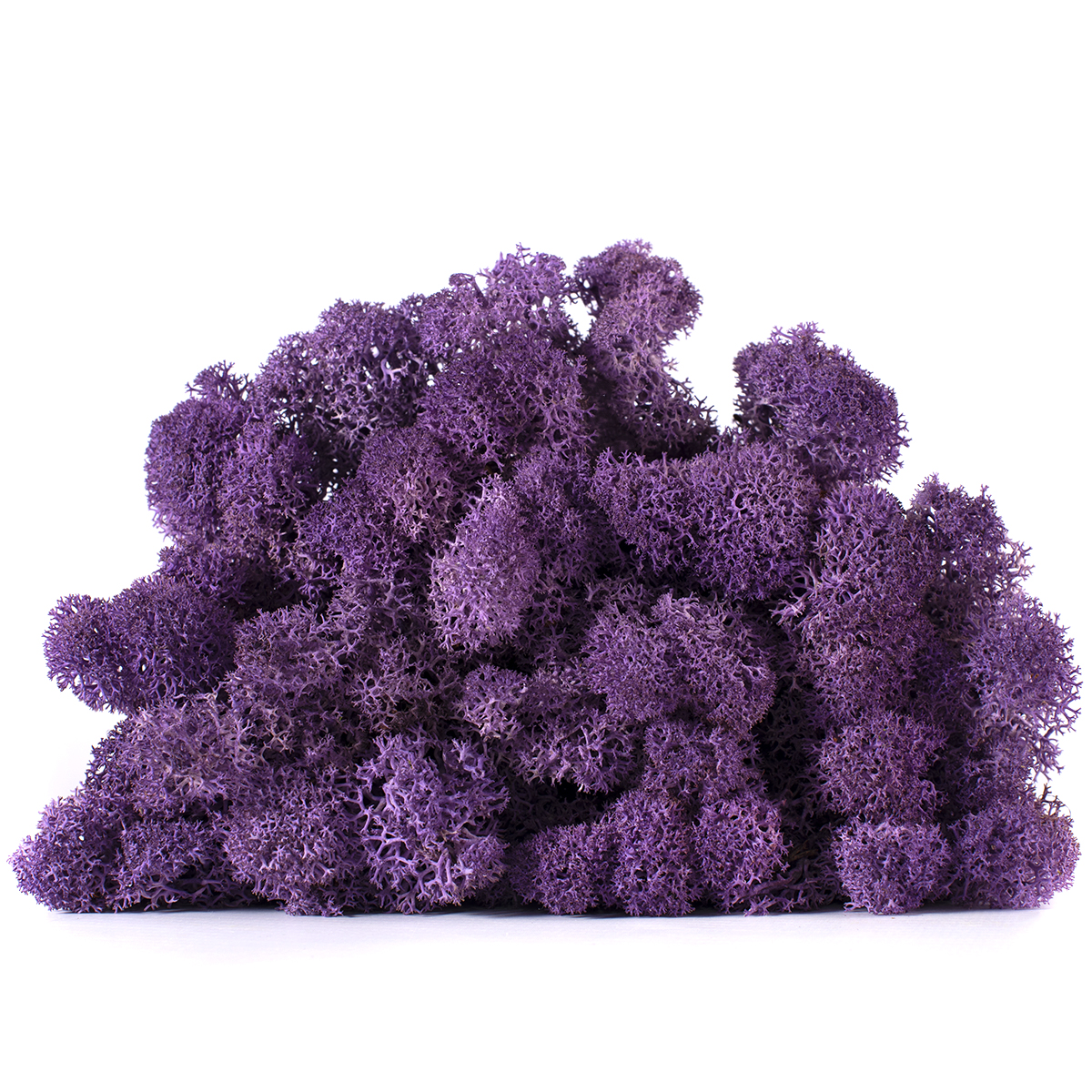 Lic/0567 lichen stabilisée violet w-box 0,5 kg