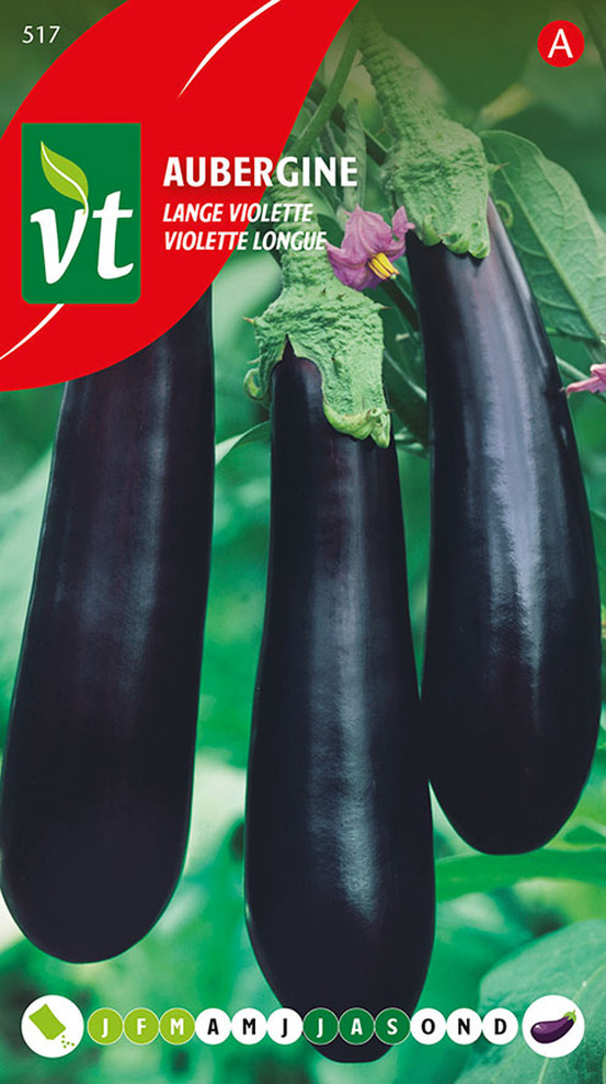 Aubergine violette longue - ca. 1 gr (livraison gratuite)