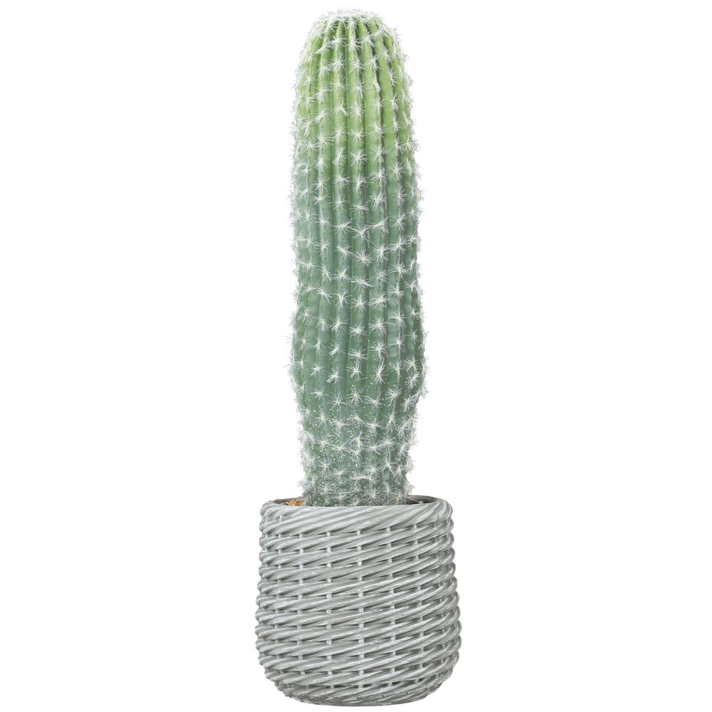 Cactus artificiel réaliste eva intérieur touche verte sans entretien 66cm vert