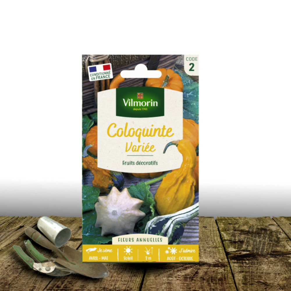 Graines de coloquinte - vilmorin sachet