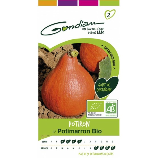 Potiron potimarron bio