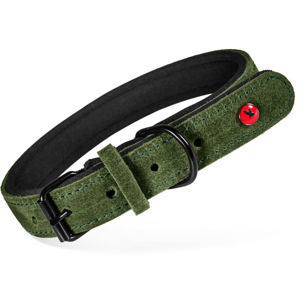 Collier pour chien en cuir huilé doublé néoprène, réglable 29-36 cm, sangle