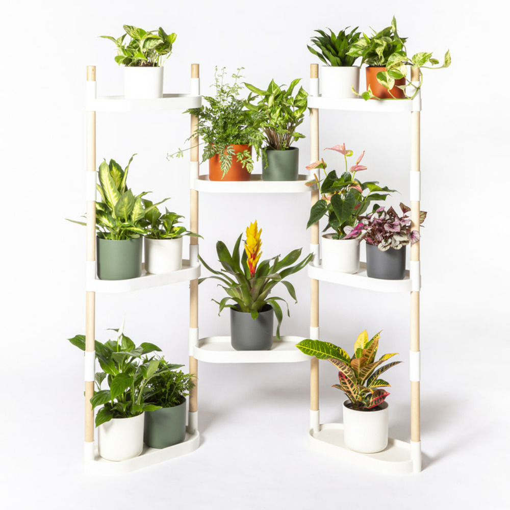 Étagère pour plantes, couleur blanche, avec 8 plateaux
