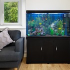 Aquarium à bords noir avec meuble noir et gravier naturel