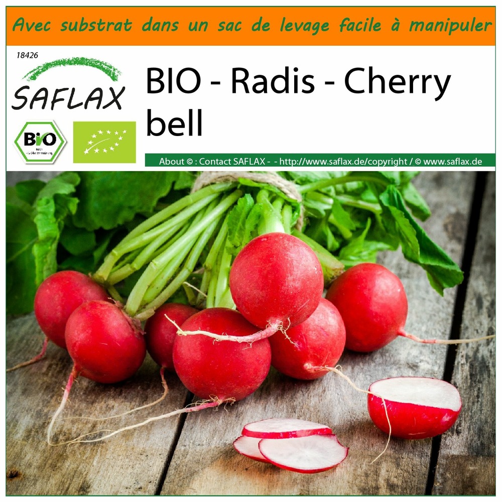 Garden in the bag - bio - radis - cherry bell - 100 graines - raphanus sativus