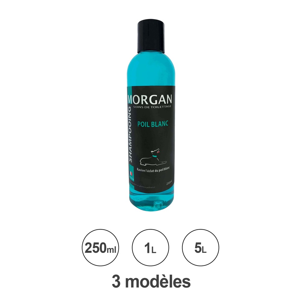 Shampoing poil blanc morgan
