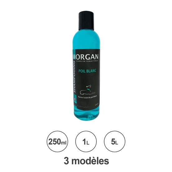 Shampoing poil blanc morgan