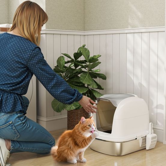 Maison de toilette chat acier inoxydable anti-odeur avec couvercle 52x41x42cm blanc