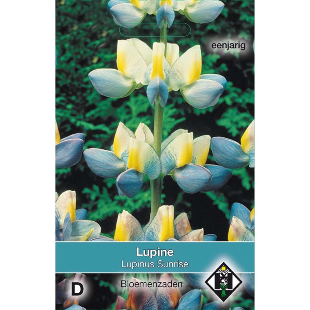 Lupin 'sunrise' le sachet de 10 graines environ (2g)
