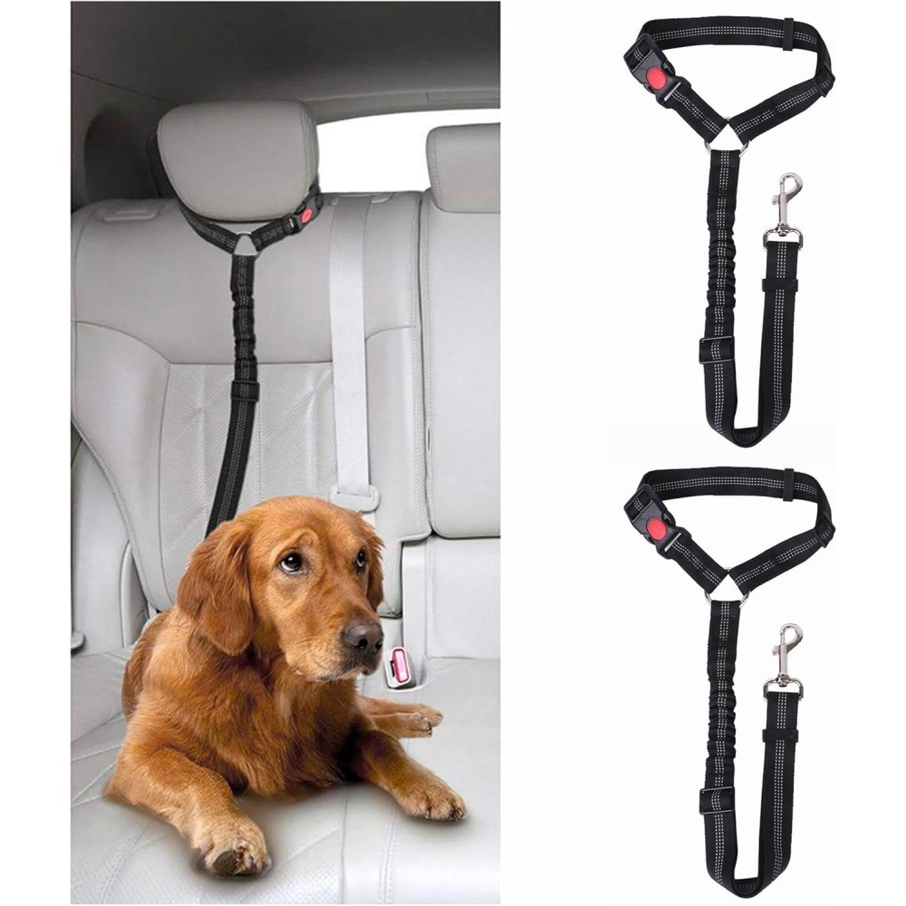 Lot de 2 ceintures de sécurité pour chien