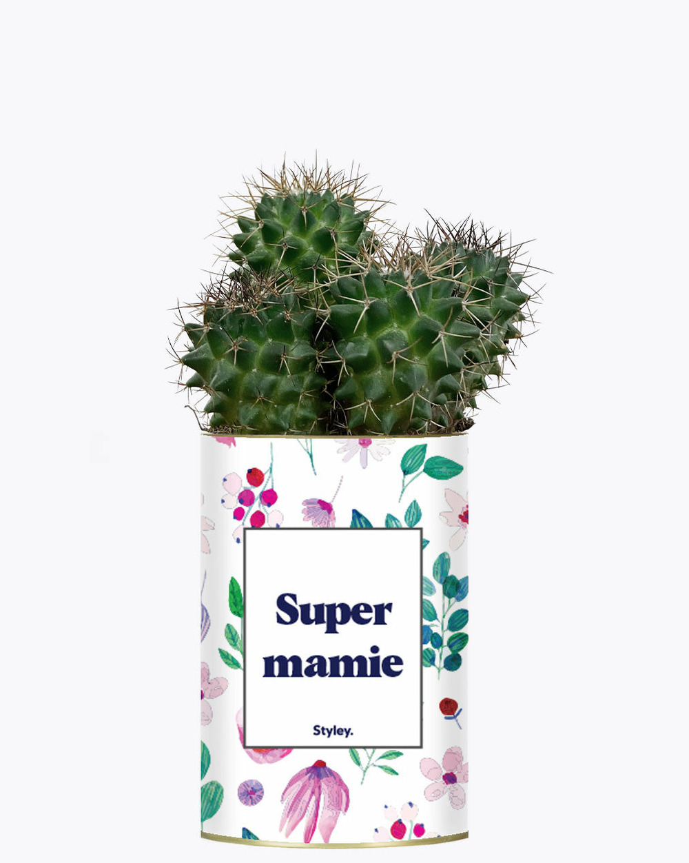 Plante à message - super mamie - cactus