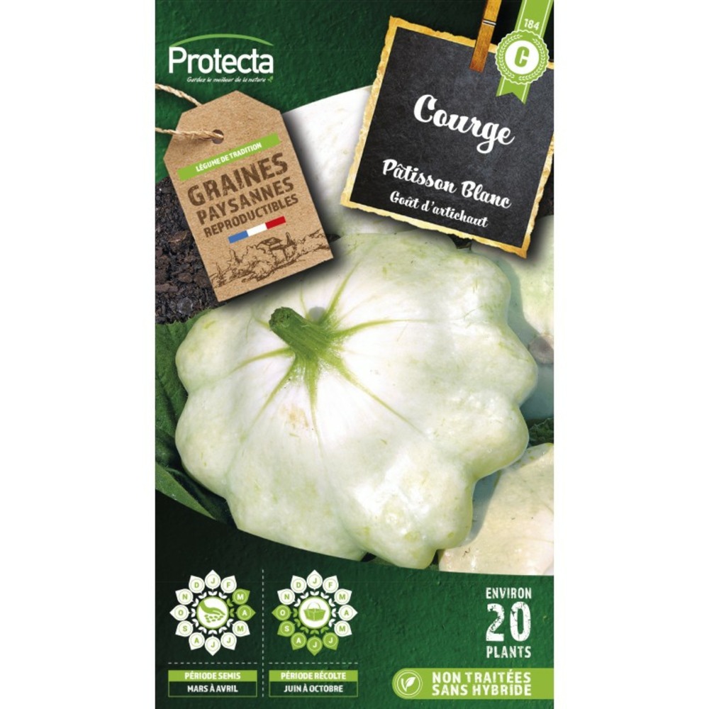 Graines paysannes - pâtisson blanc