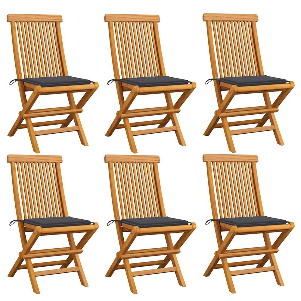 Chaises de jardin avec coussins