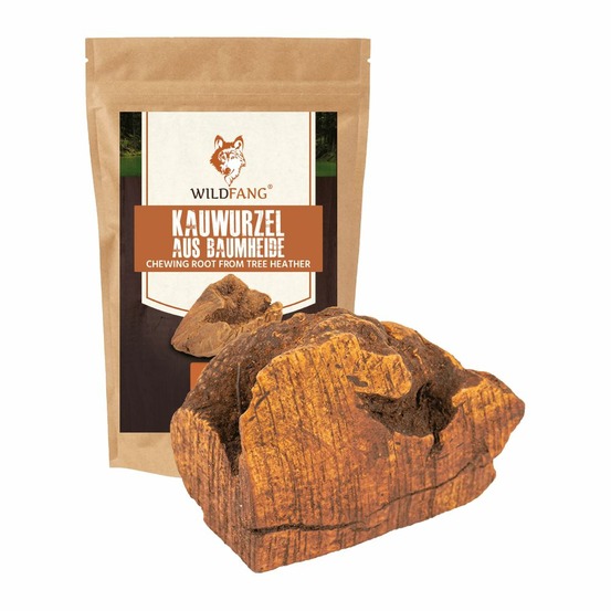Wildfang - mâcher la racine de la bruyère arborescente - 1 x m