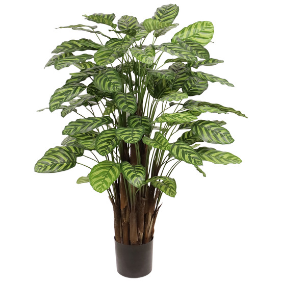 Calathea makoyana plante artificiel deluxe 115cm