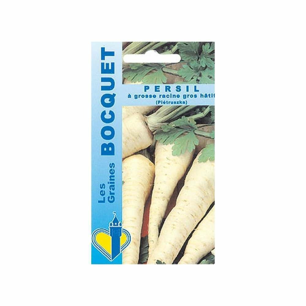 Persil Ã  grosse racine hÃ¢tif