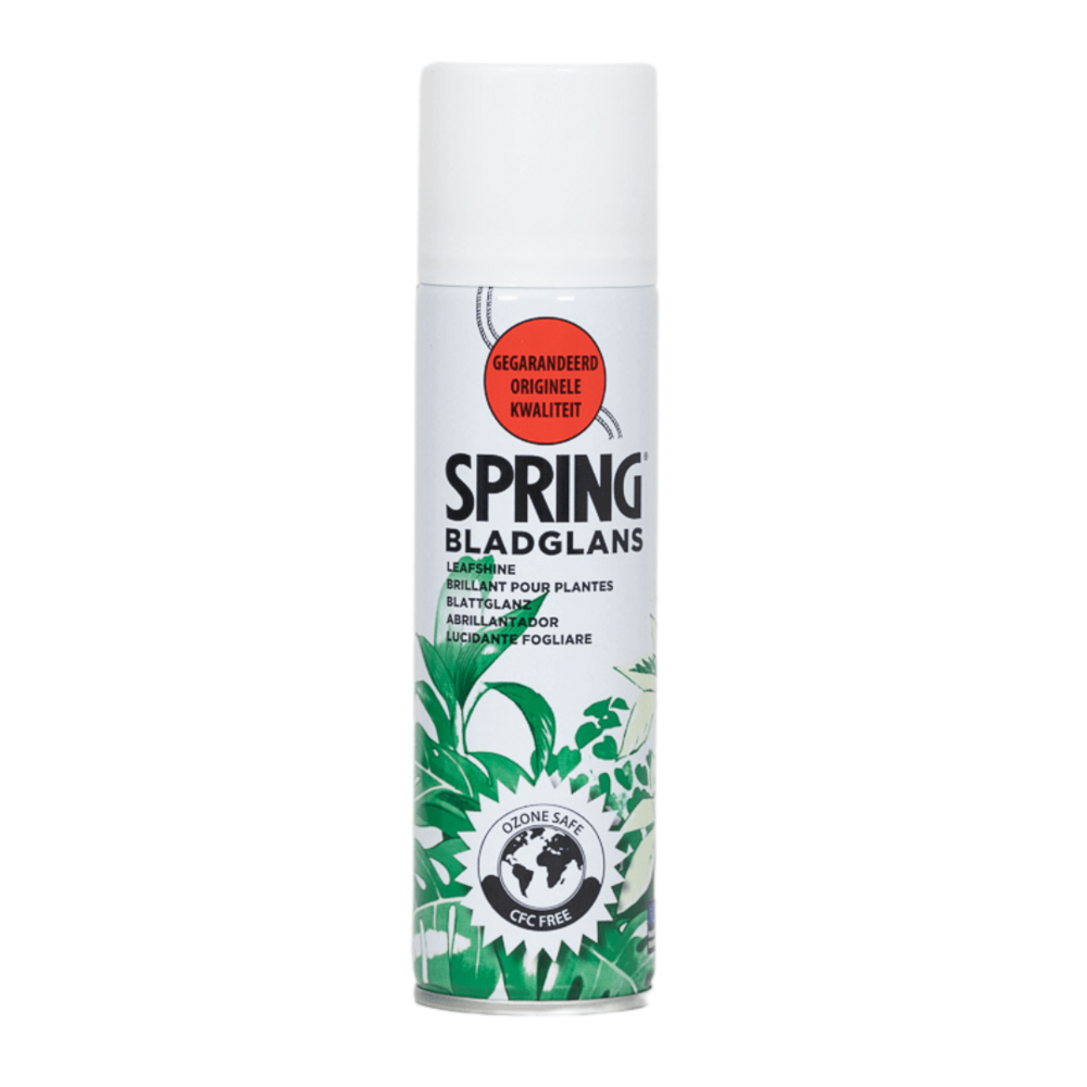 Spray brillant pour plante 750 ml - accessoire plante