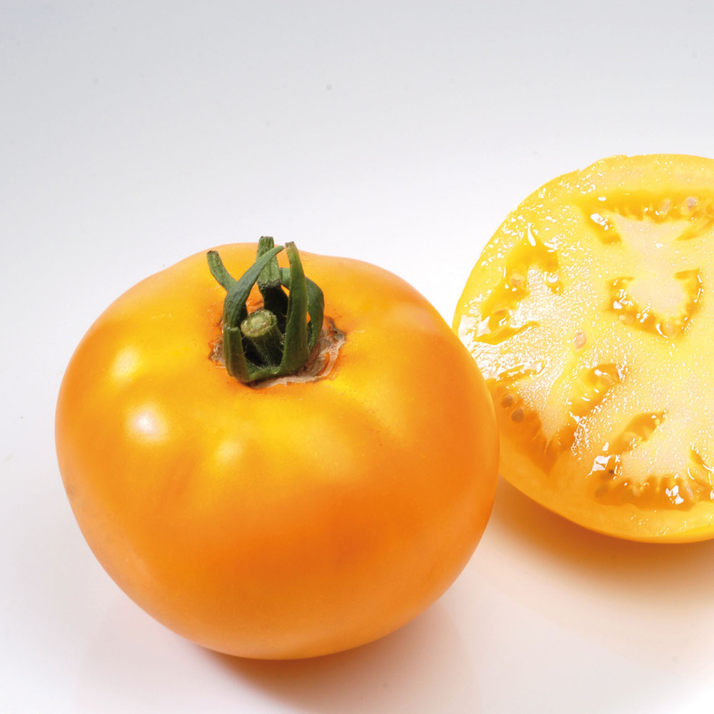 Tomate 'lemon boy' pot de 10 cm/11cm