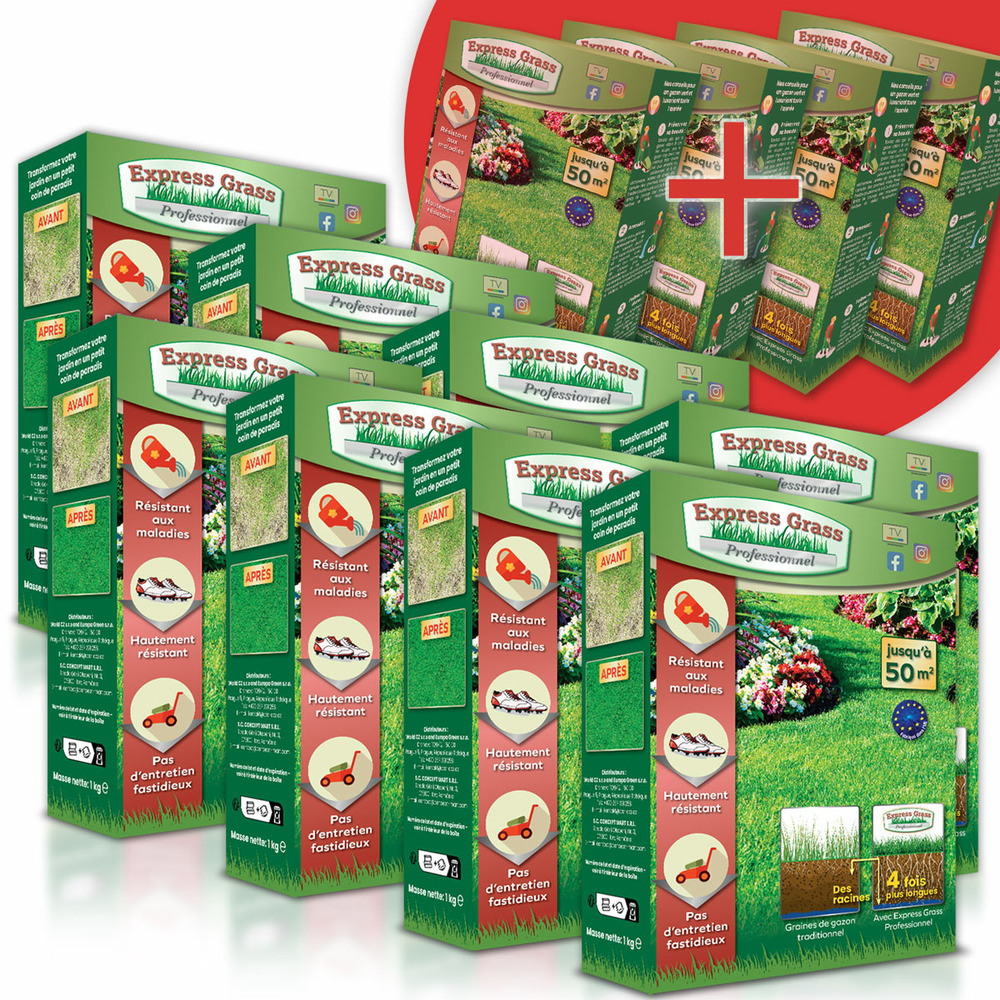 Gazon express professionnel (600m²) - fiable, résistant froid et chaleur - germination rapide et dense (14 jours)