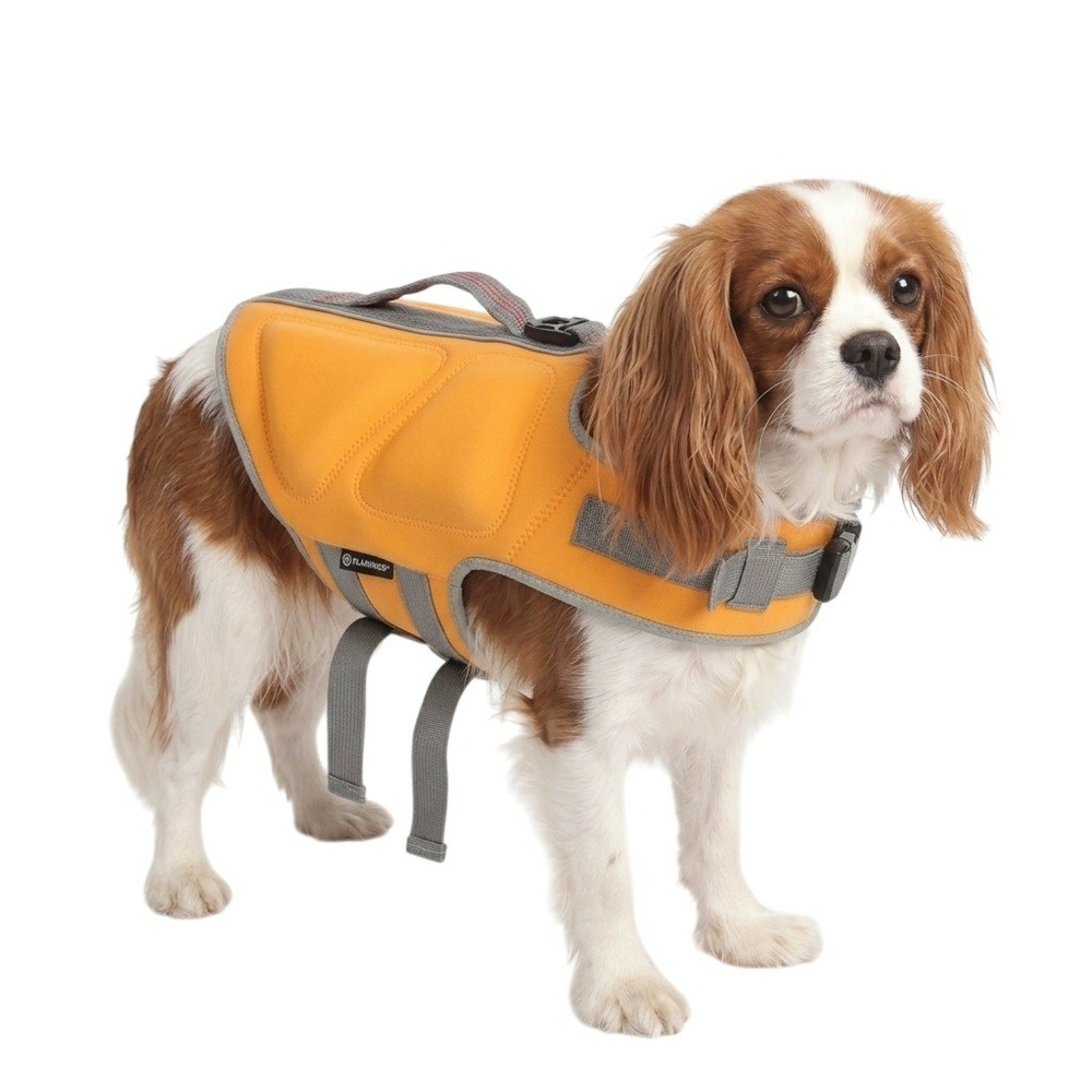Gilet de sauvetage réglable pour chien swimmy