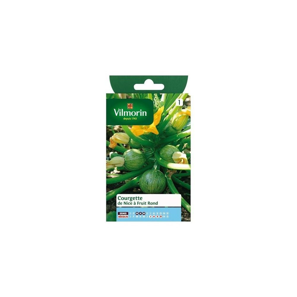 Sachet graines courgette de nice à fruit rond