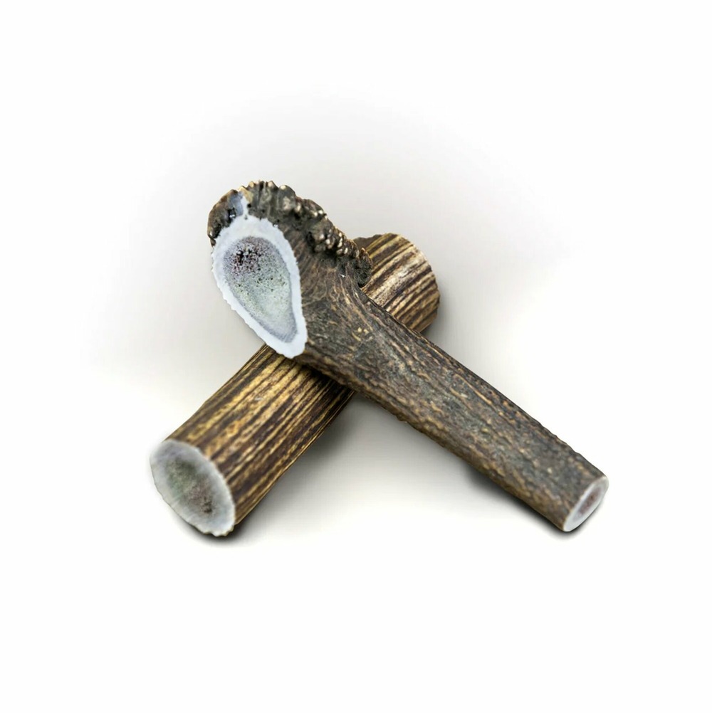 2x bois de cerf xl entier (150/200gr) - chien <40gr - france croquettes