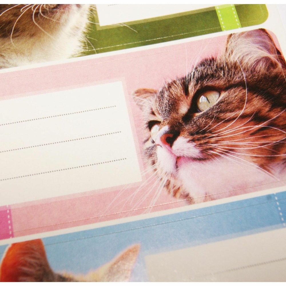 12 étiquettes adhésives scolaires - rectangle - photos de chats