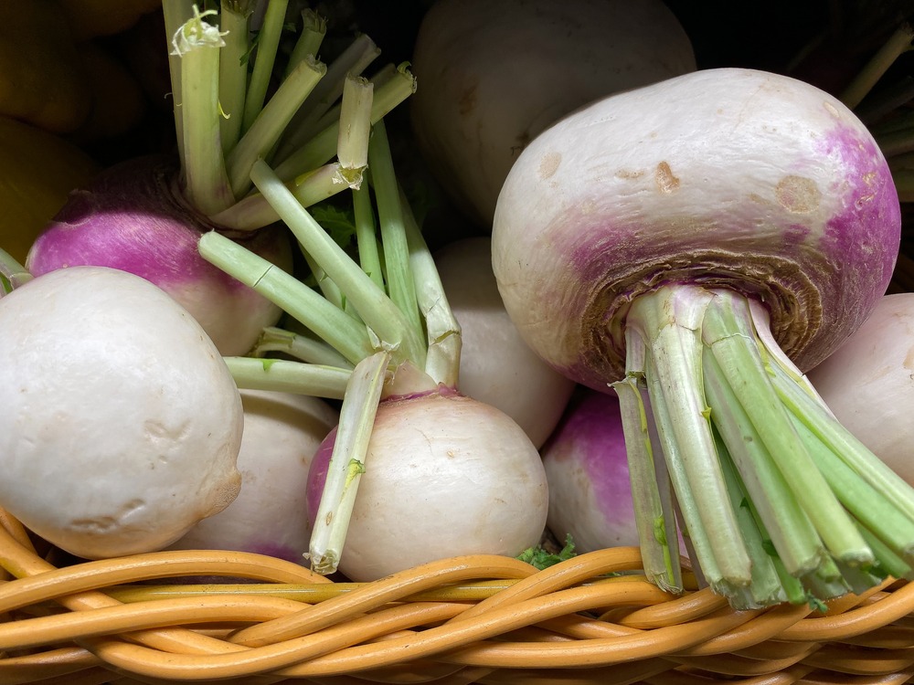 Sachet de graines de navets de milan rouge extra hâtif - sachet de 5 grammes - petite entreprise française - made in france