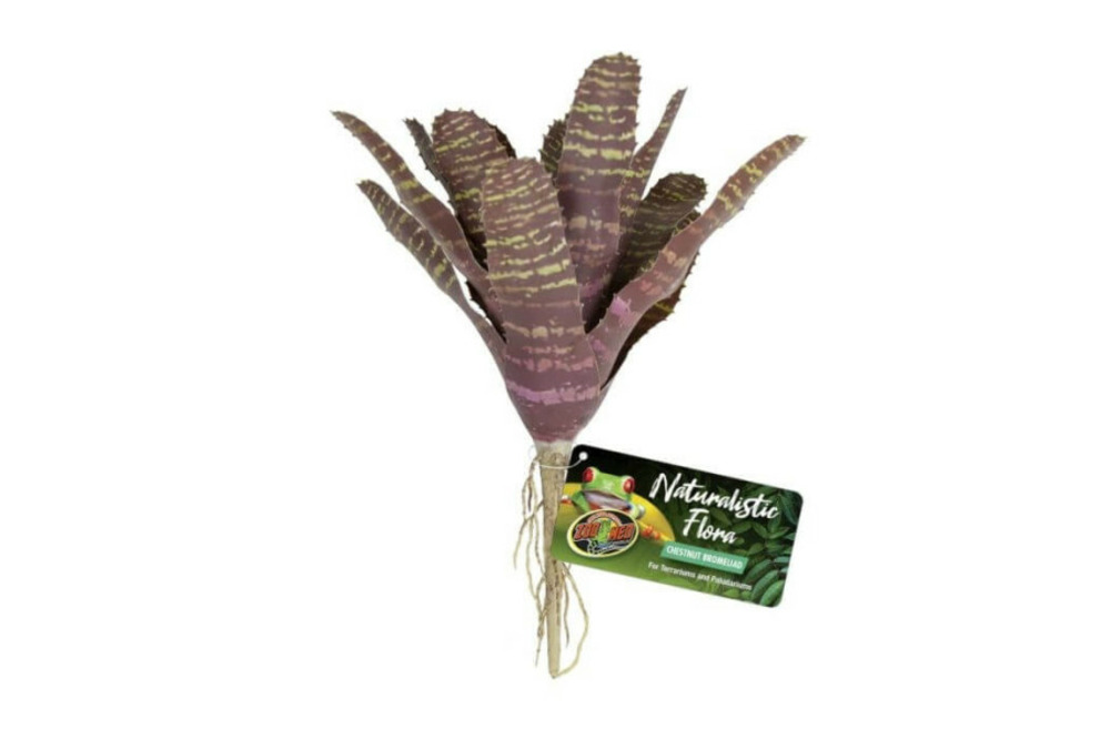 Naturalistic flora, chestnut bromelia - décor pour terrarium