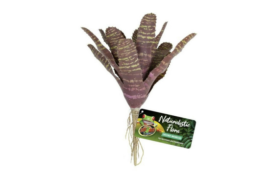 Naturalistic flora, chestnut bromelia - décor pour terrarium