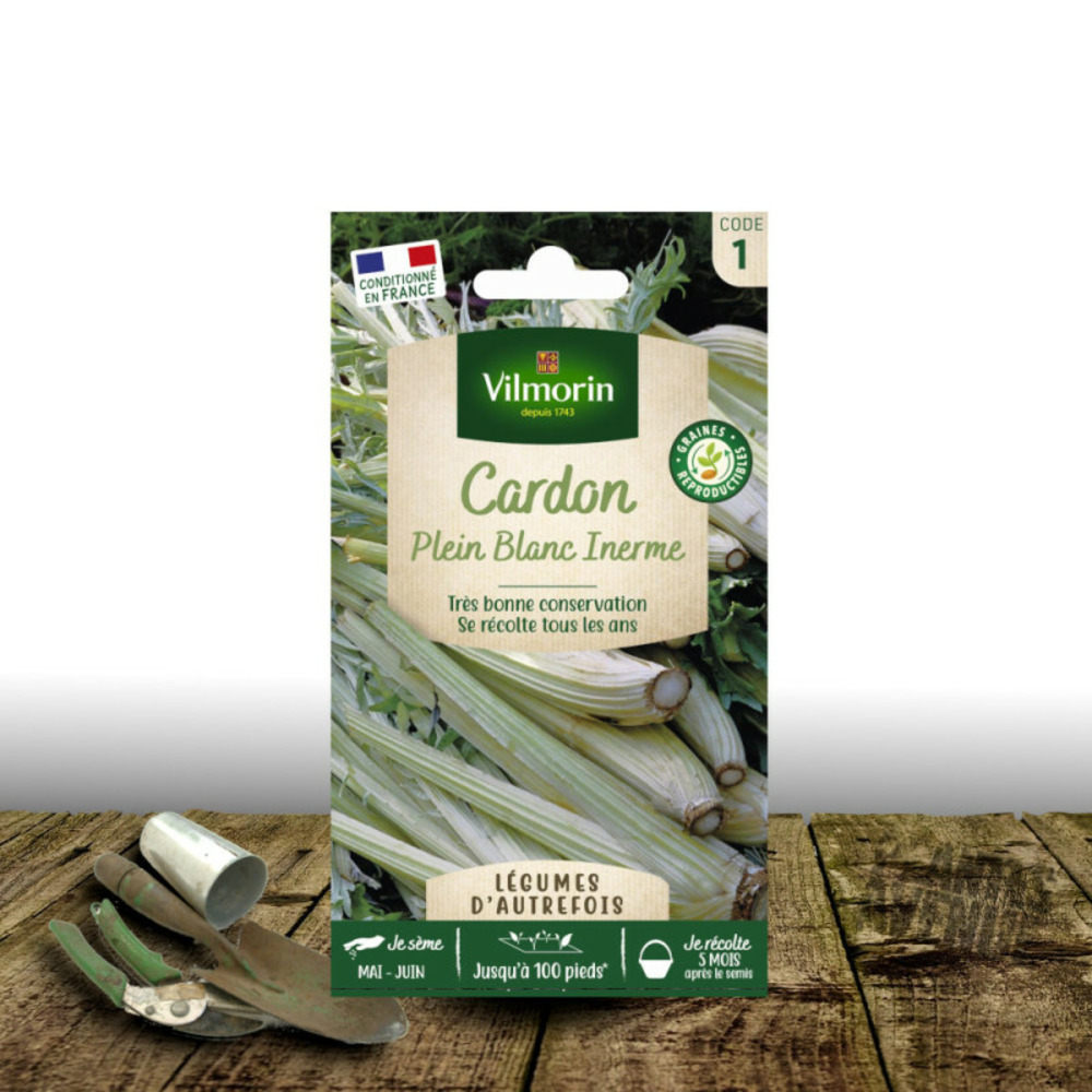 Graines de cardon plein blanc inerme - vilmorin sachet