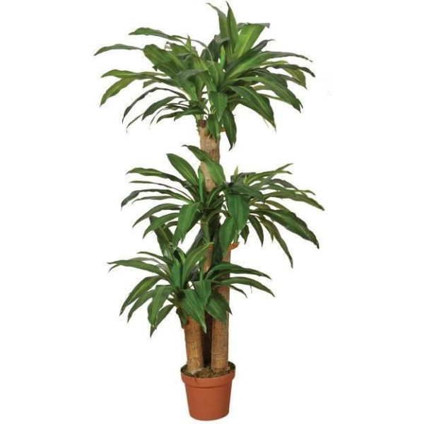 - plante artificielle dracena 145cm