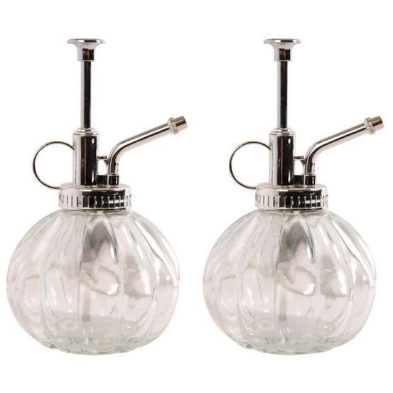 Humidificateur pour plantes en verre (lot de 2)