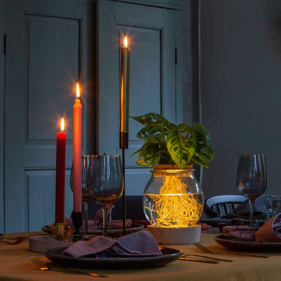 Monstera et son ampoule vase avec led - les kit