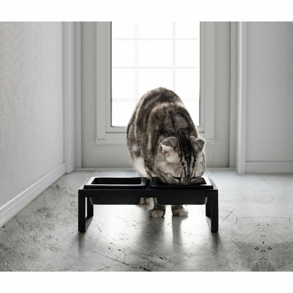 Gamelle Surélevée Pour Chat, Double Mangeoire En Acier Inoxydable