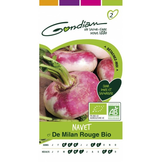 Navet de milan rouge bio