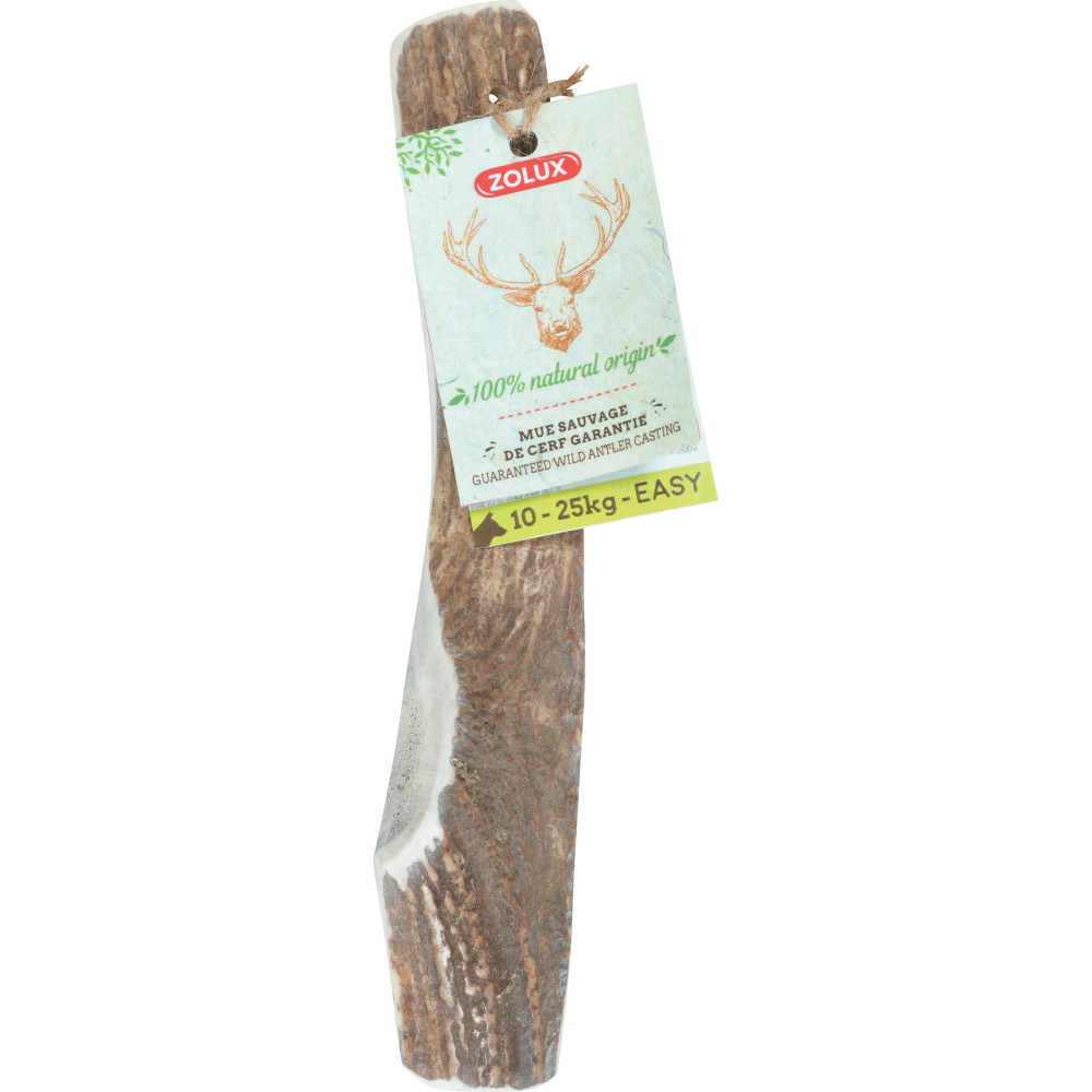 Bois de cerf biseauté m friandise à macher pour chien