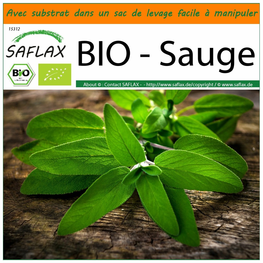 Garden in the bag - bio - sauge - 60 graines - salvia officinalis