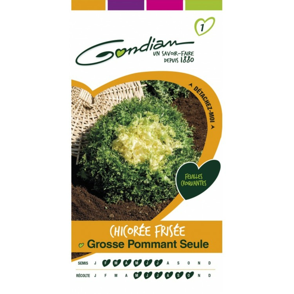 Grosse pommant seule