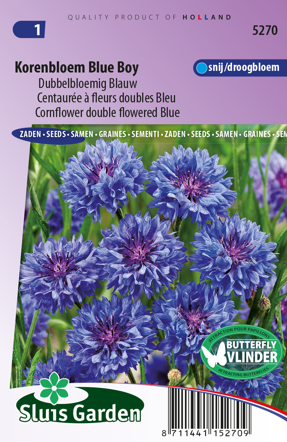 Centaurée à fleurs doubles blue boy - graines de fleurs annuelles - ca. 1 g (livraison gratuite)