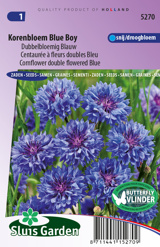 Centaurée à fleurs doubles blue boy - graines de fleurs annuelles - ca. 1 g (livraison gratuite)