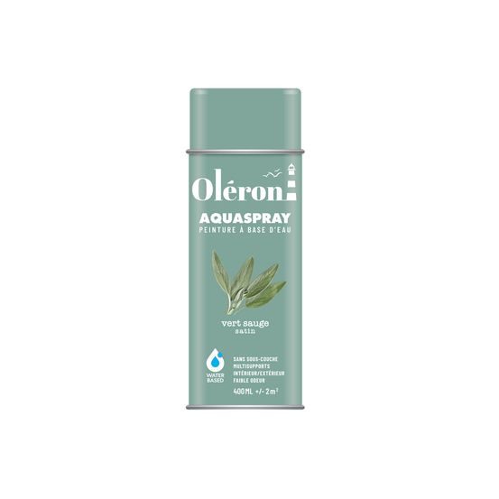Aérosol aquaspray vert sauge peinture aérosol écologique, séchage rapide, finition satinée - technima