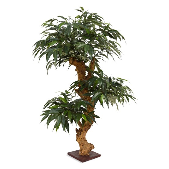 Shirakashi bonsaï plante artificielle 80 cm sur pied