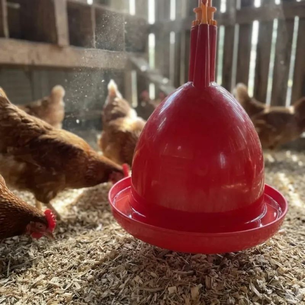Abreuvoir poules et volailles automatique à suspendre