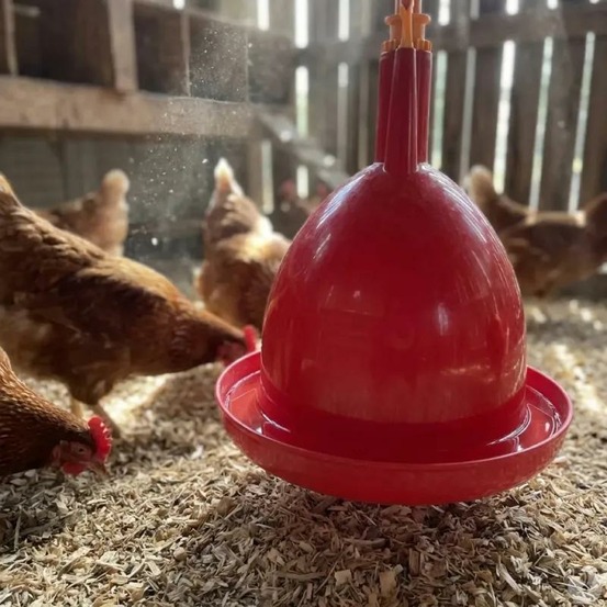 Abreuvoir poules et volailles automatique à suspendre